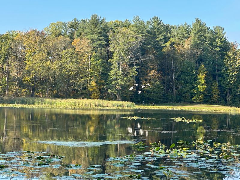 Kendall Lake and Kendall Hills