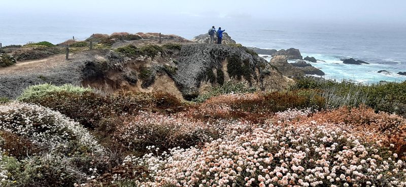 Soberanes Point Trail - Garrapata State Park
