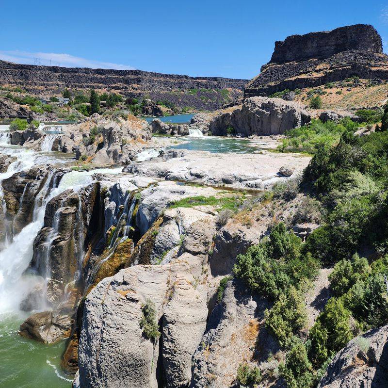 Concession Stand Stop