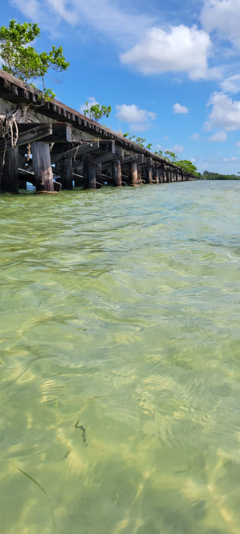 Kayaking & Paddleboarding – Calm waters around the island are great for paddling tours.