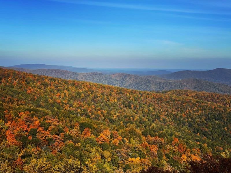 Shenandoah Apple Orchards, Virginia