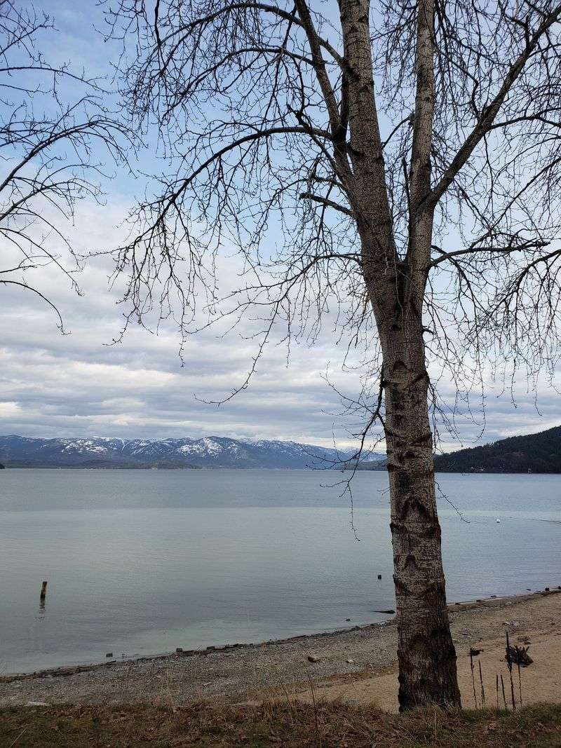 Winter Waterfront Walk