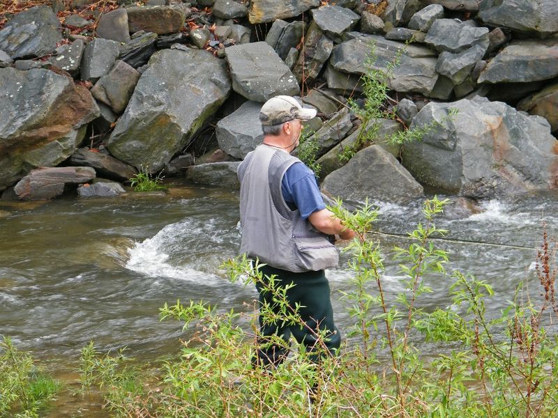 Fish Silver Creek and Fall Brook for stocked trout (spring)