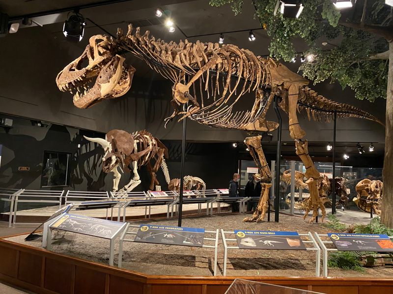 The Legendary Dinosaur Hall