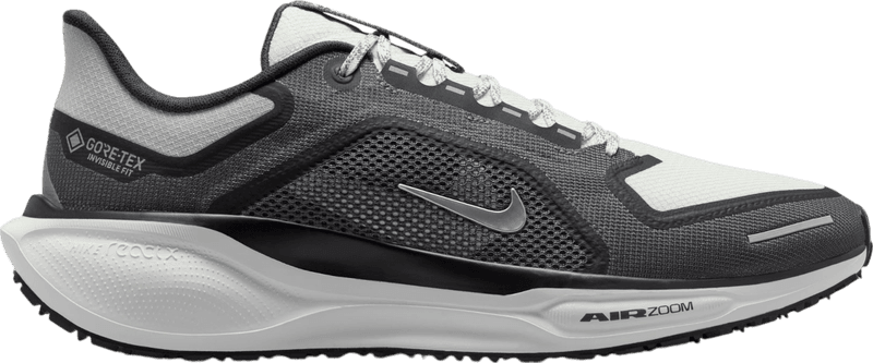 Nike Pegasus Trail 41 GTX