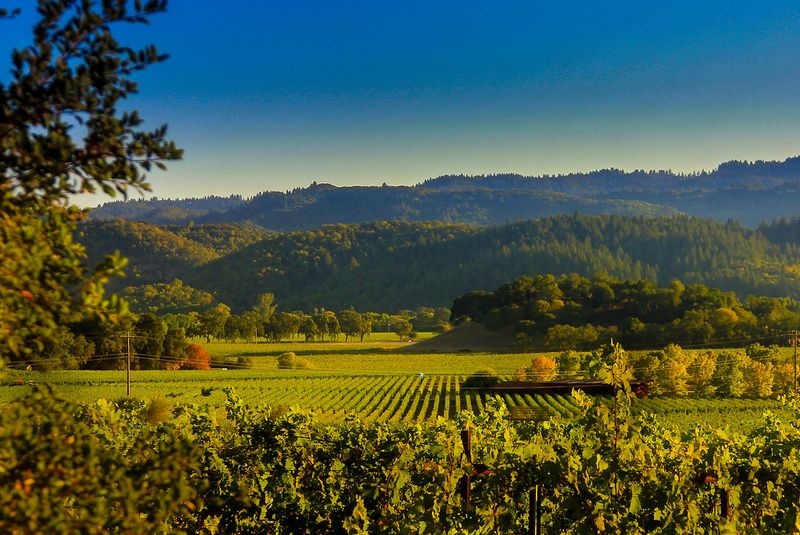 Hundred Acre — Napa Valley, California