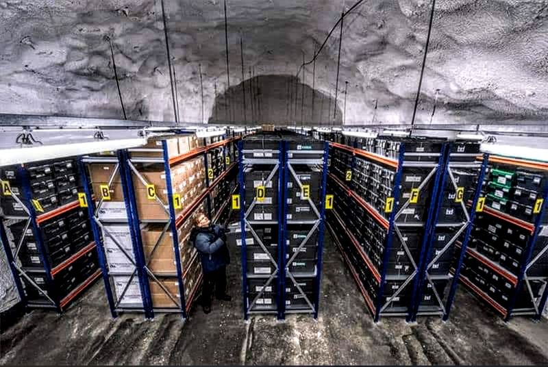 Cold Storage Conditions
