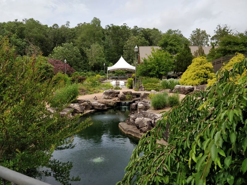 Native Plant Showcase