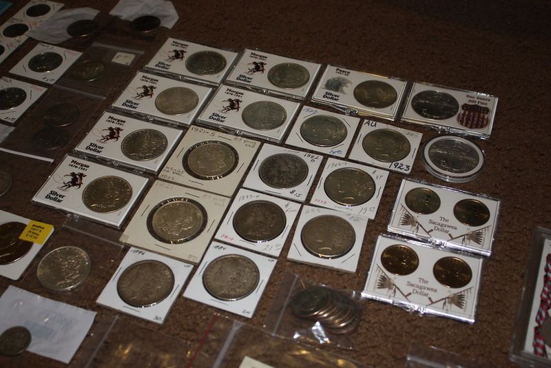 Coin Collecting as a Youth Hobby