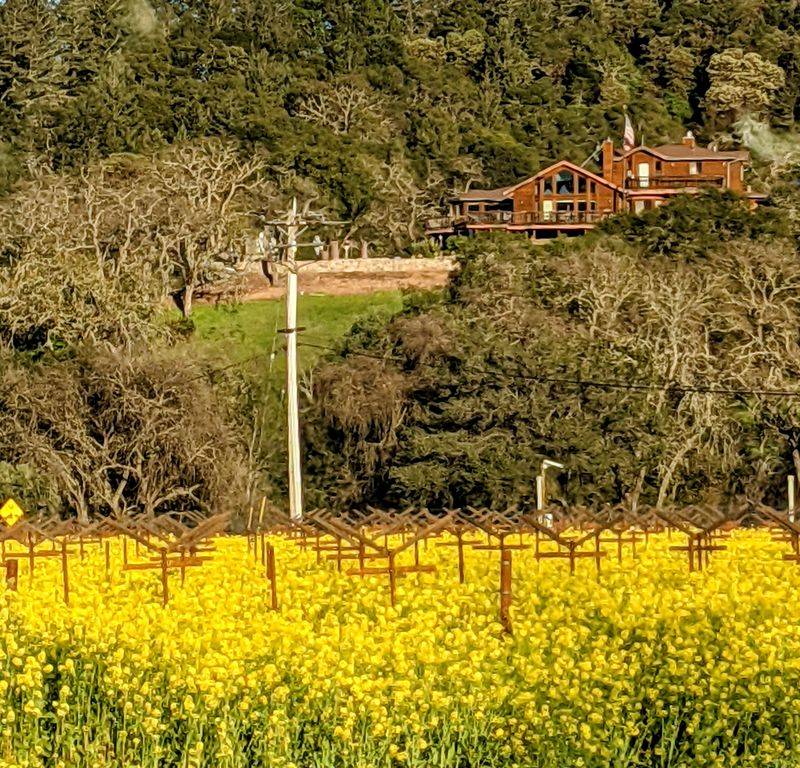 Cellar-Worthy Without Waiting Decades