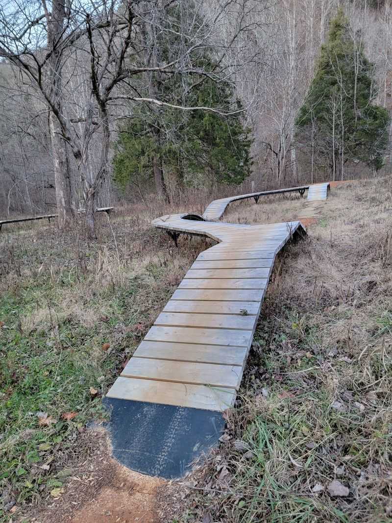 Vee Hollow — Mountain Biking for Adventurers