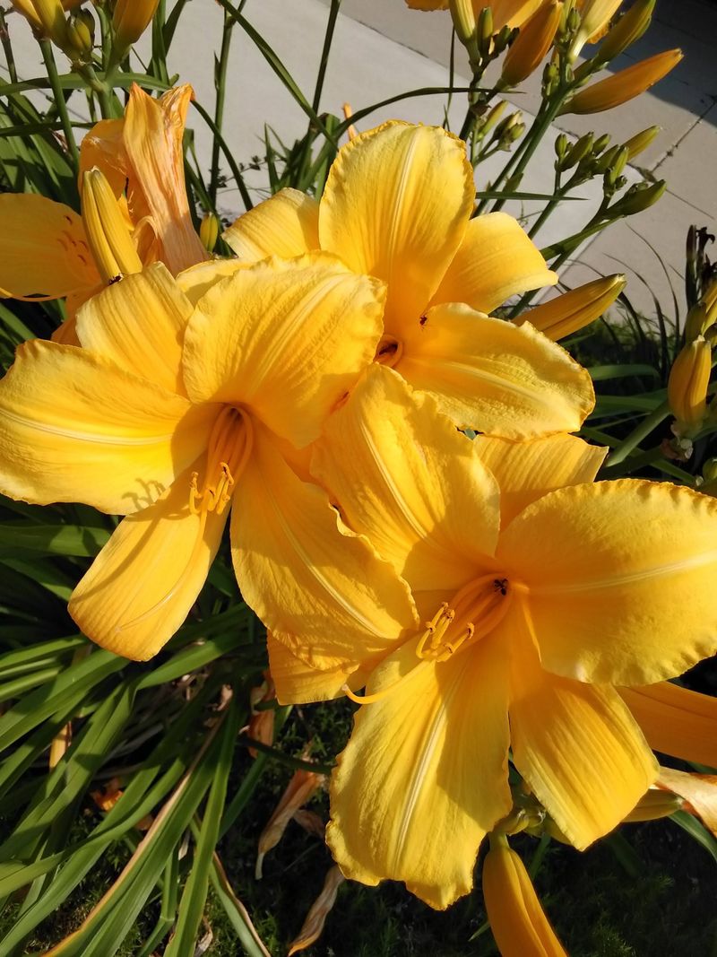 Photo Ops: Doors, Windows, Details