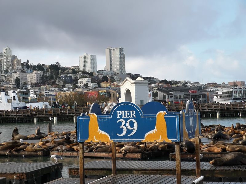 It's Right on Pier 39 So You Can Go From Waterfront Views to Another Dimension Fast