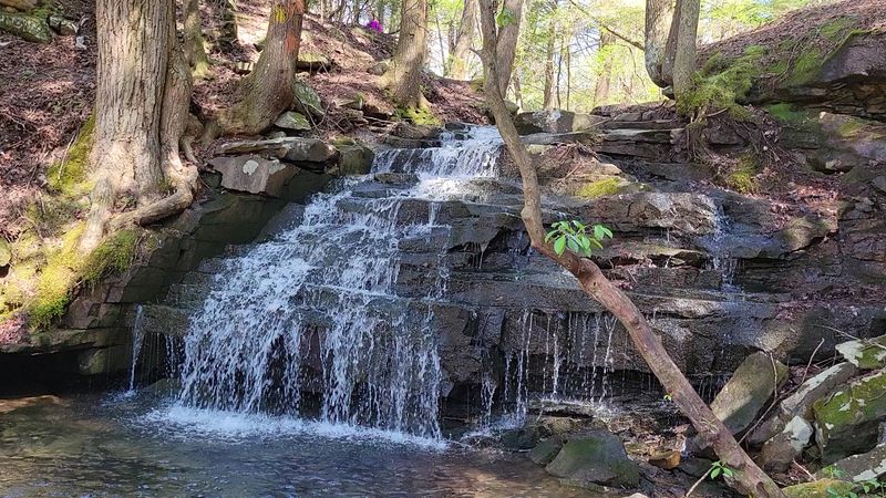 Getting there and parking