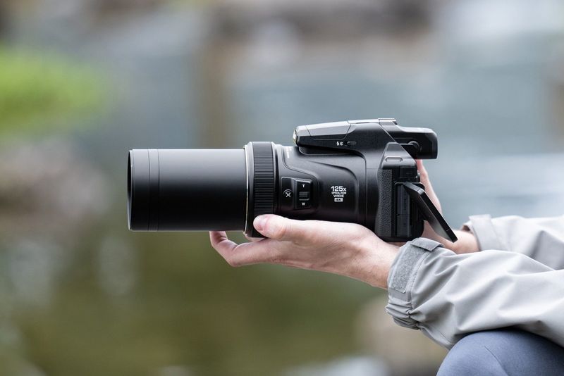 Bridge & Zoom — Nikon Coolpix P1100