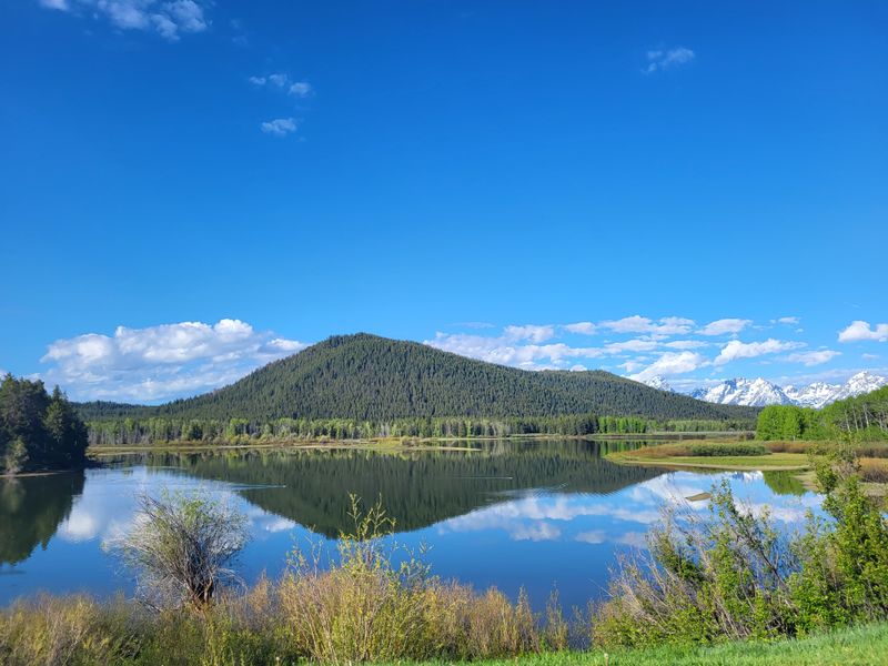 Pull over at Oxbow Bend for wildlife and Mount Moran magic