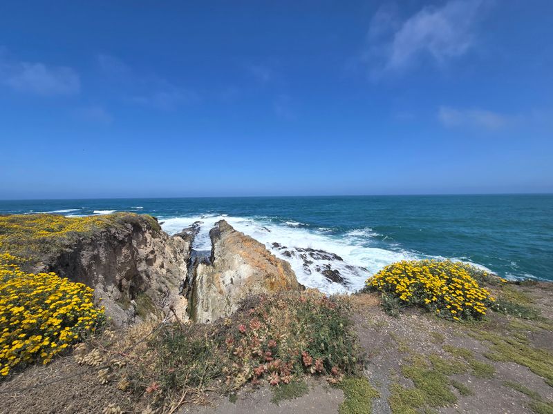 Blackberry Bluff Trail – California