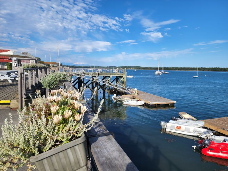 Simple Food, Honest From The Dock