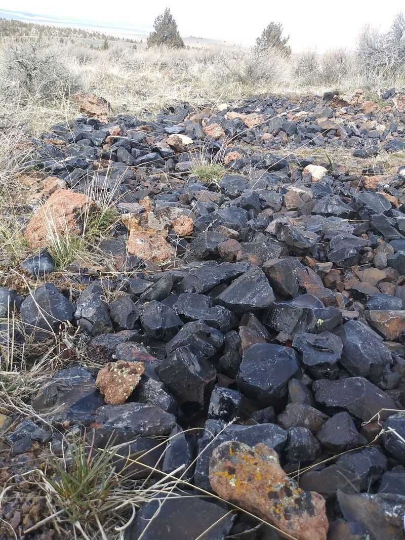 Paisley Caves — Ancient Human History