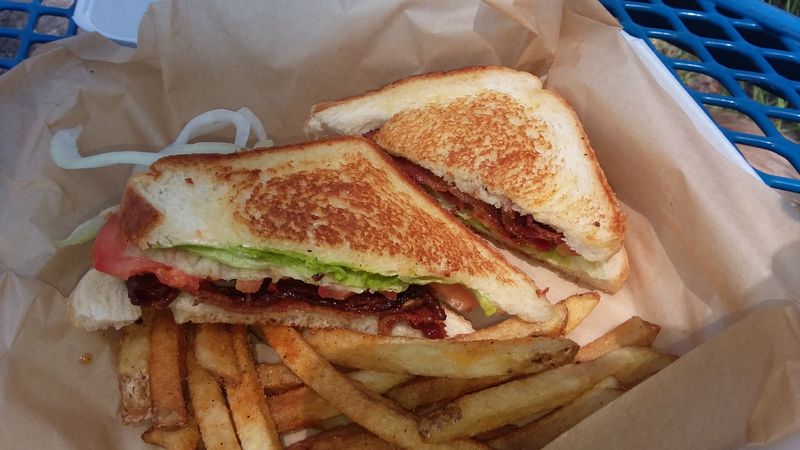 Stargazing in the Rockies