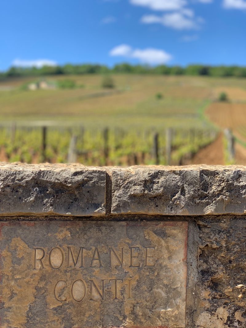 Domaine de la Romanée-Conti, Burgundy, France