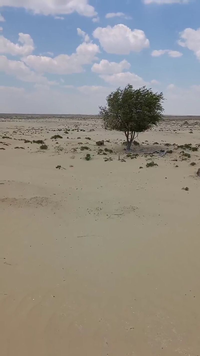 Wind Spreads Salt and Chemicals