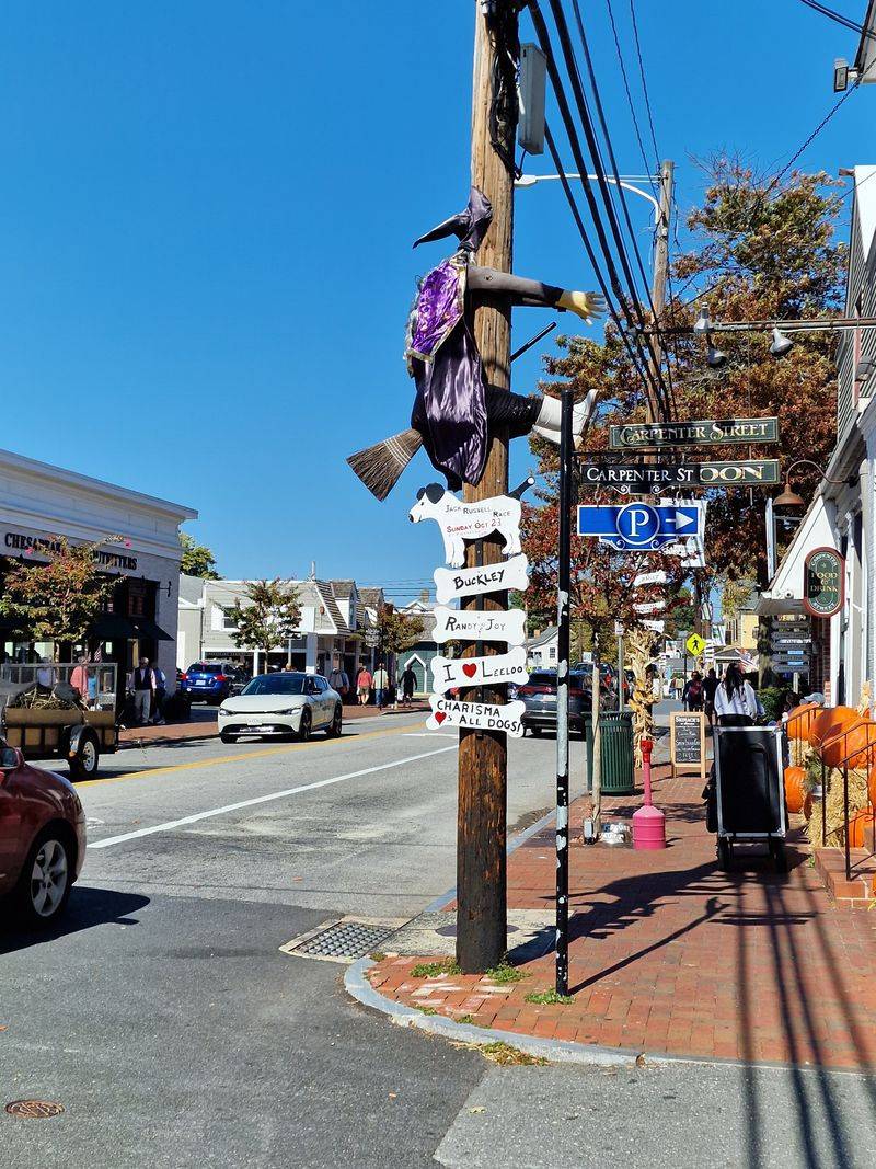 Blue Crab Feasts on Talbot Street