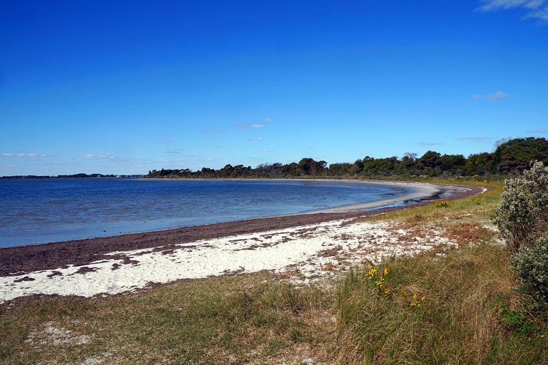 Photography Spots Beyond the Ponies