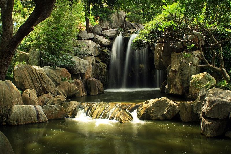 Step into the Chinese Garden of Friendship for a calm reset