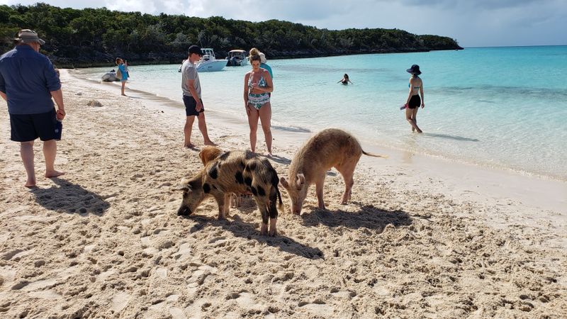 What to bring: water shoes, a dry bag, and low-drama swim gear