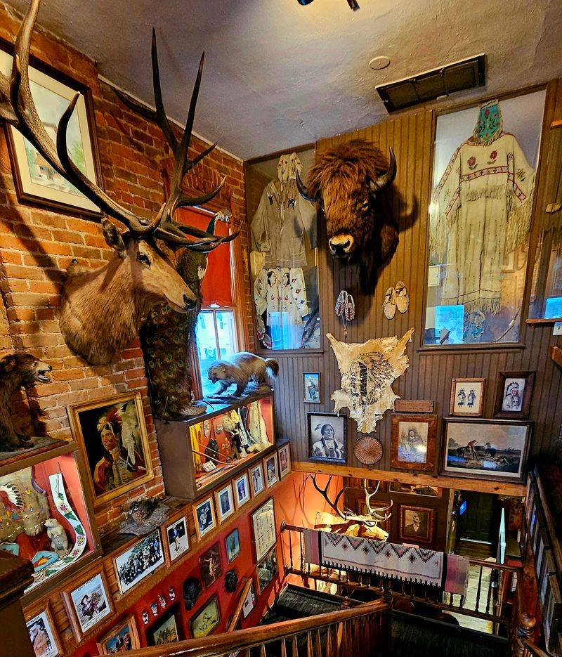 Historic Taxidermy and Artifacts