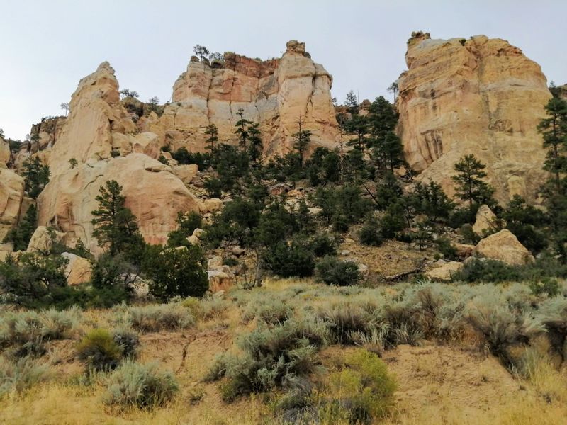 Scenic High Desert Vistas