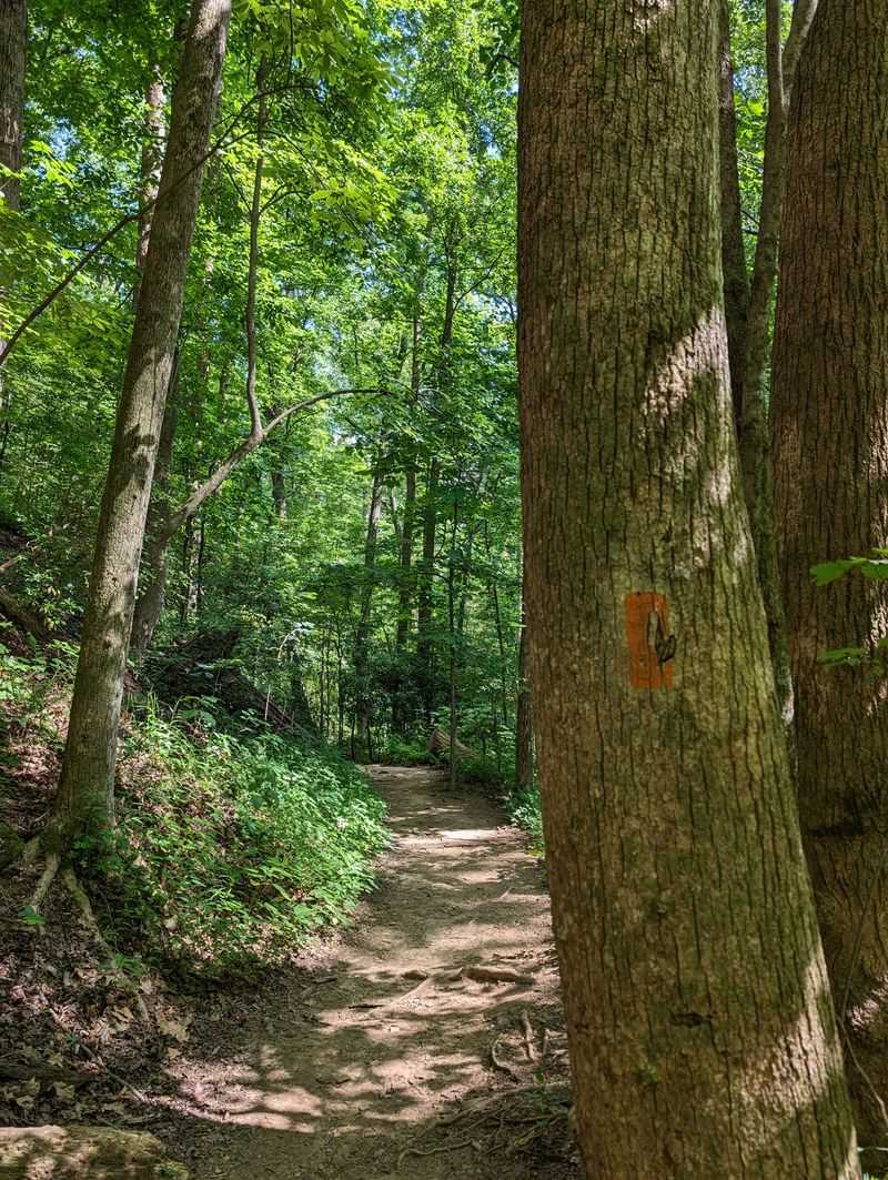 Moderate Difficulty for Many Hikers