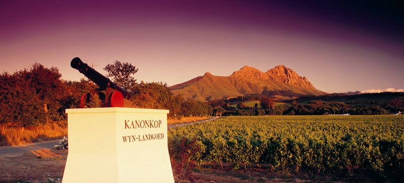 Kanonkop Wine Estate, Stellenbosch, South Africa