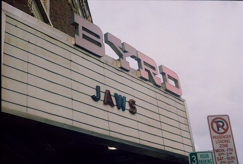 Jaws and the Summer Blockbuster