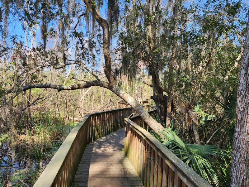 Sea Pines Forest Preserve Walks