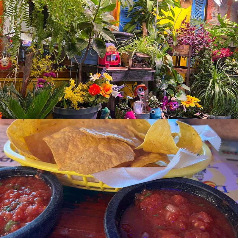 Essential Ordering Tips