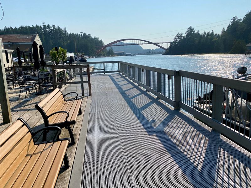 Boardwalk Birdwatching