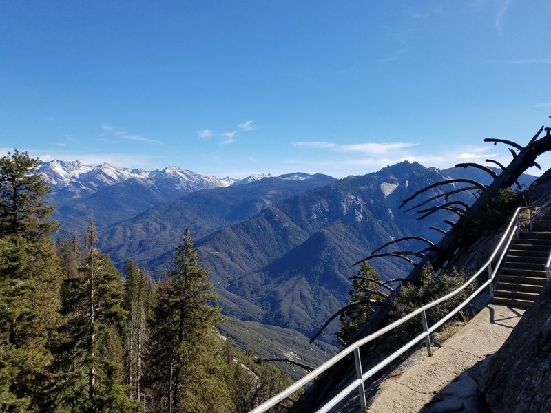 Drive the Generals Highway Scenic Route