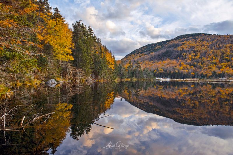 Cost Of Living Tradeoffs