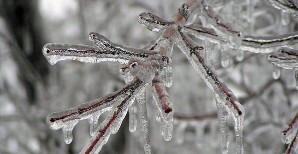 Complex Winter Storm Poses Snow and Ice Threat Across the Eastern United States