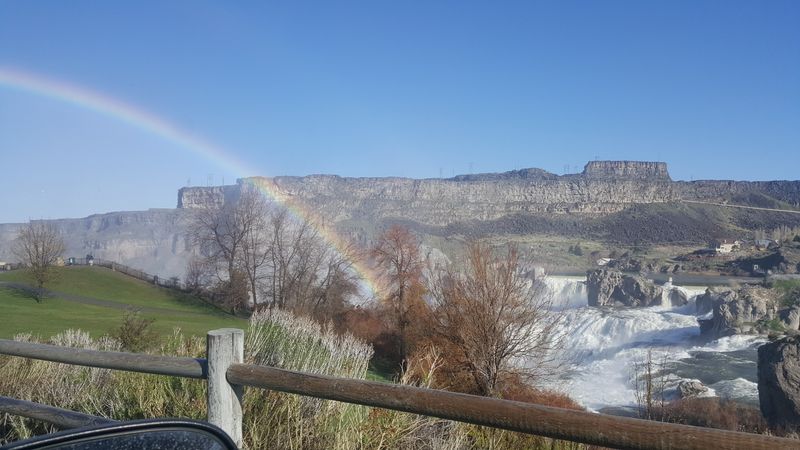 Family-Friendly Lawn