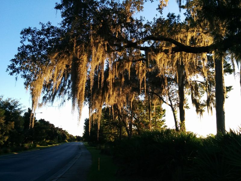 Sun City Center, Florida (Tampa area)