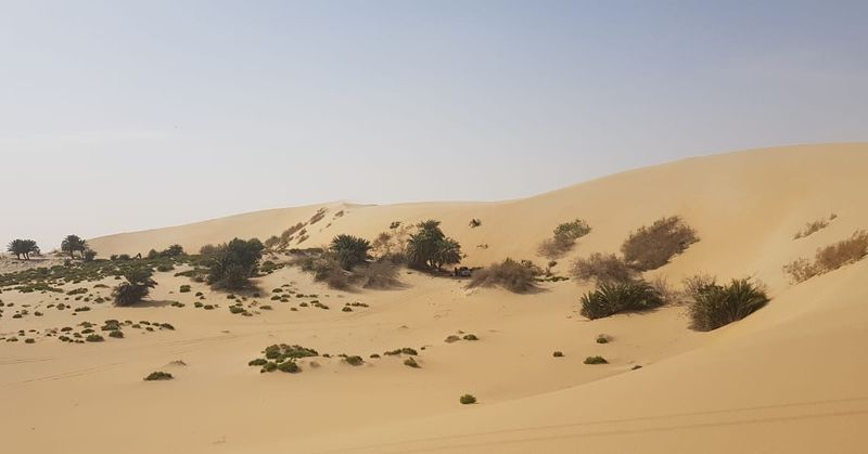 Imports from Australia, China, and Belgium