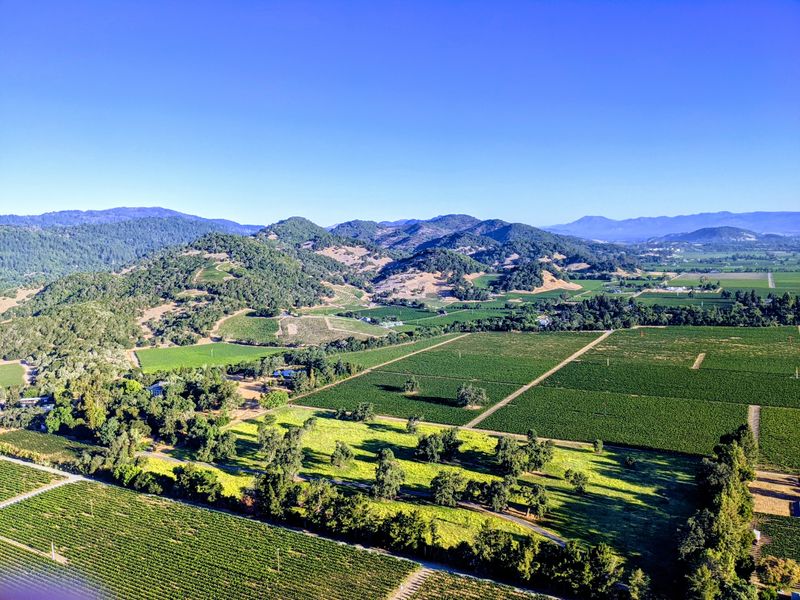 Micro-Lots Blended With Purpose