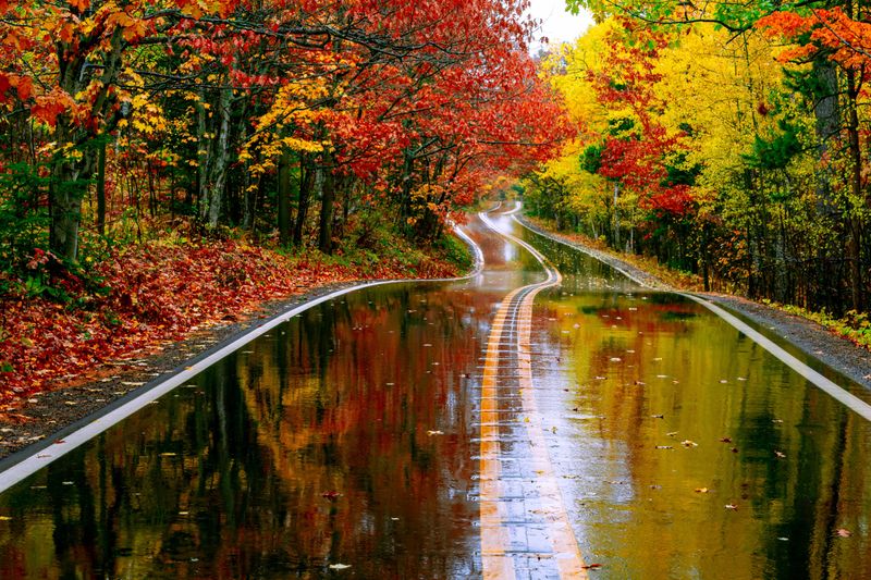 Maiden Lane and Local Shore Walks