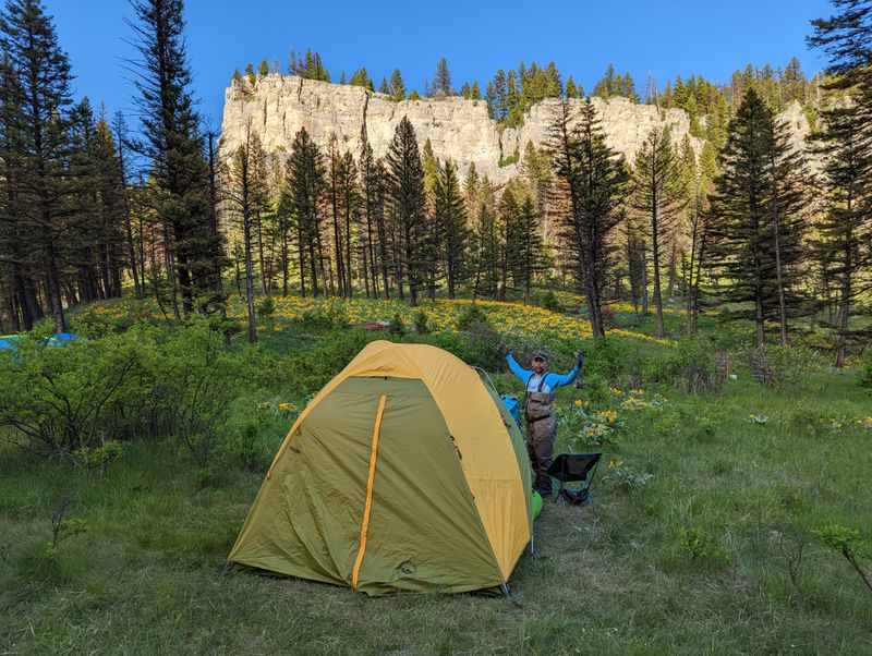 Who Thrives In Belgrade