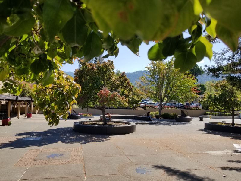 Schools and Lifelong Learning