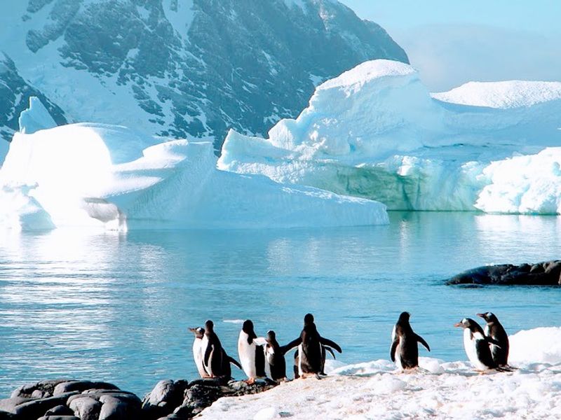 Antarctica with HX Hurtigruten Expeditions
