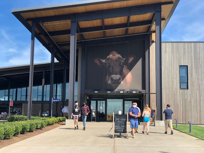 Tillamook Creamery Ice Cream Tasting